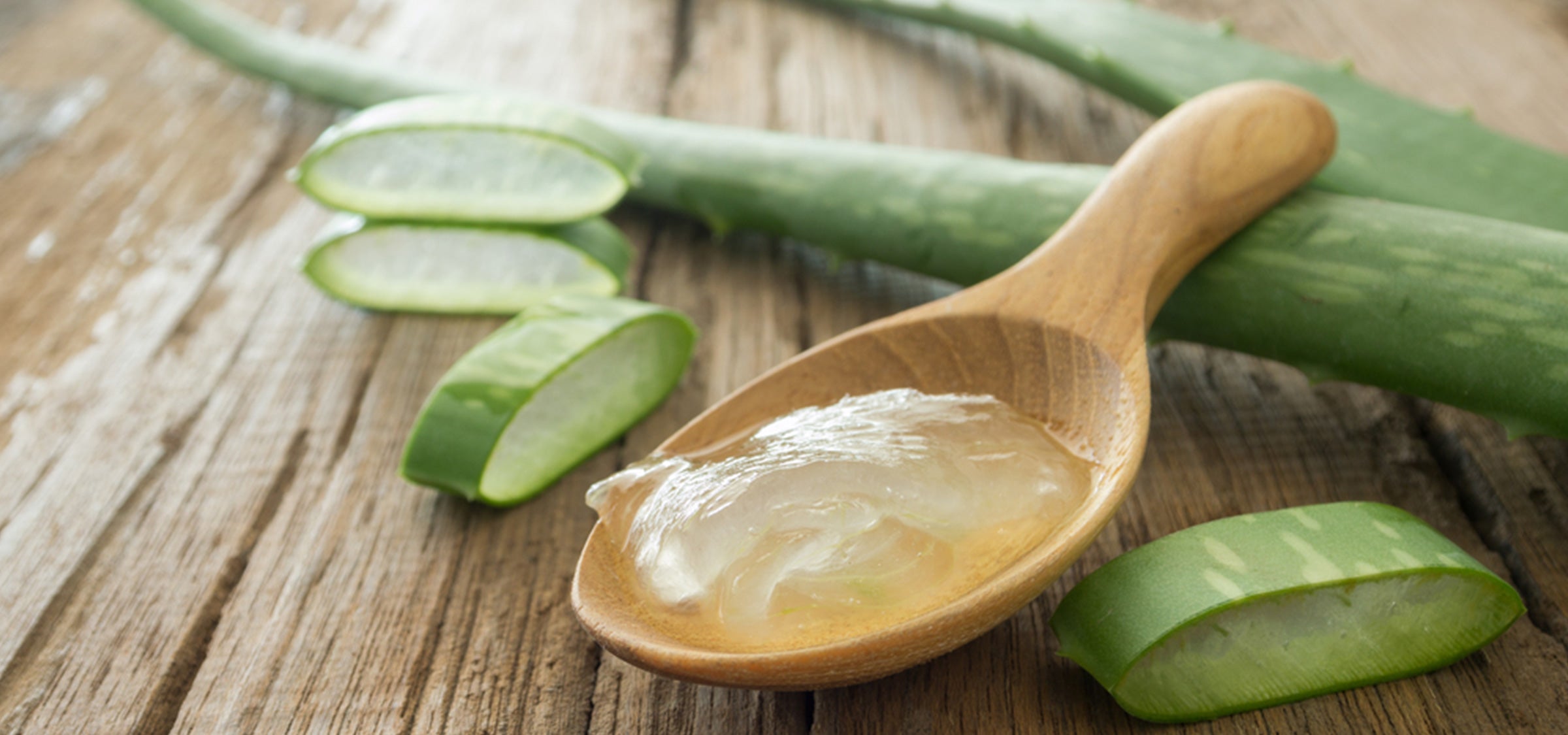 Aloe Vera Gel: Seine Wirkung und Anwendung