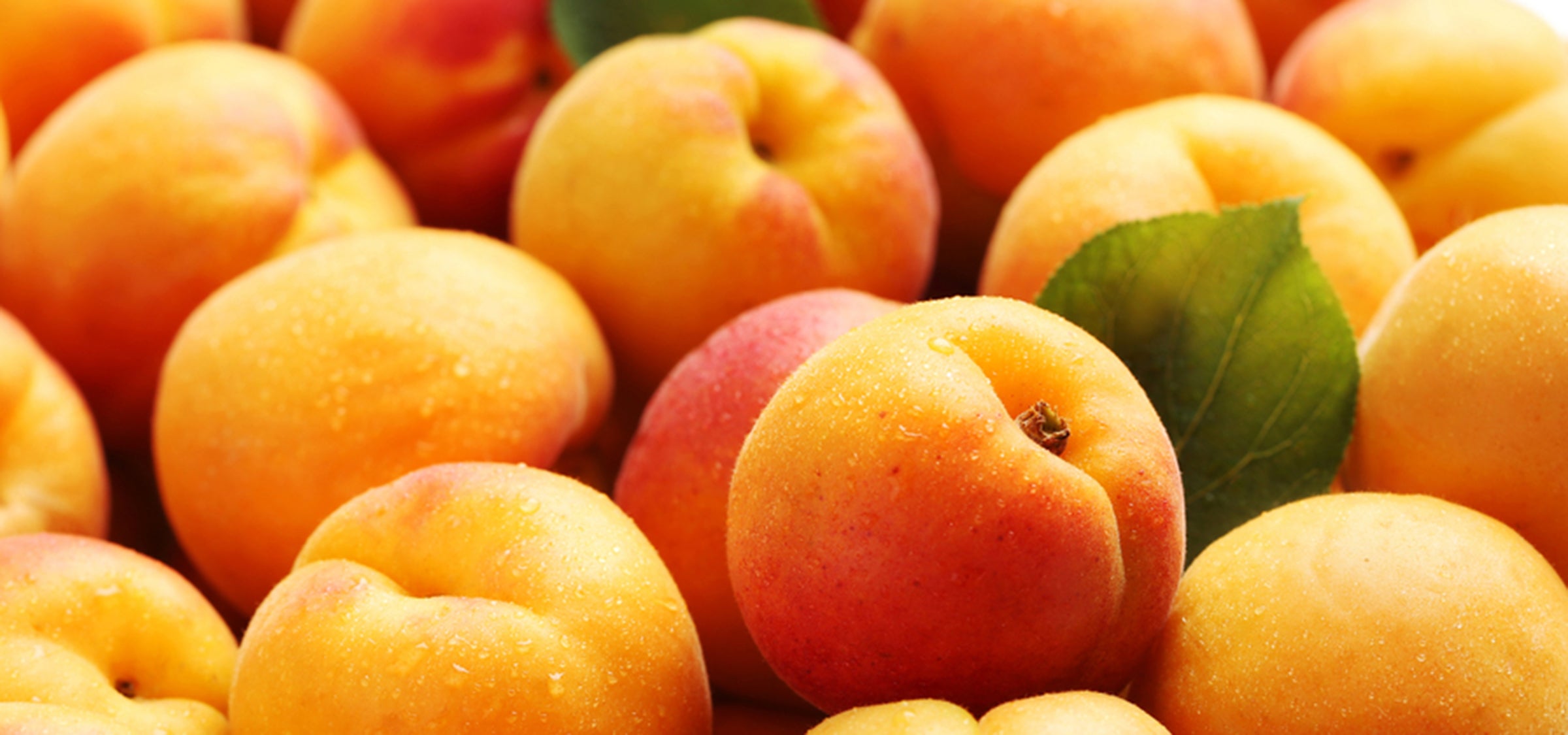 Frische Aprikosen – natürlicher Wirkstofflieferant für pflegendes Aprikosenkernöl mit glättender und regenerierender Wirkung