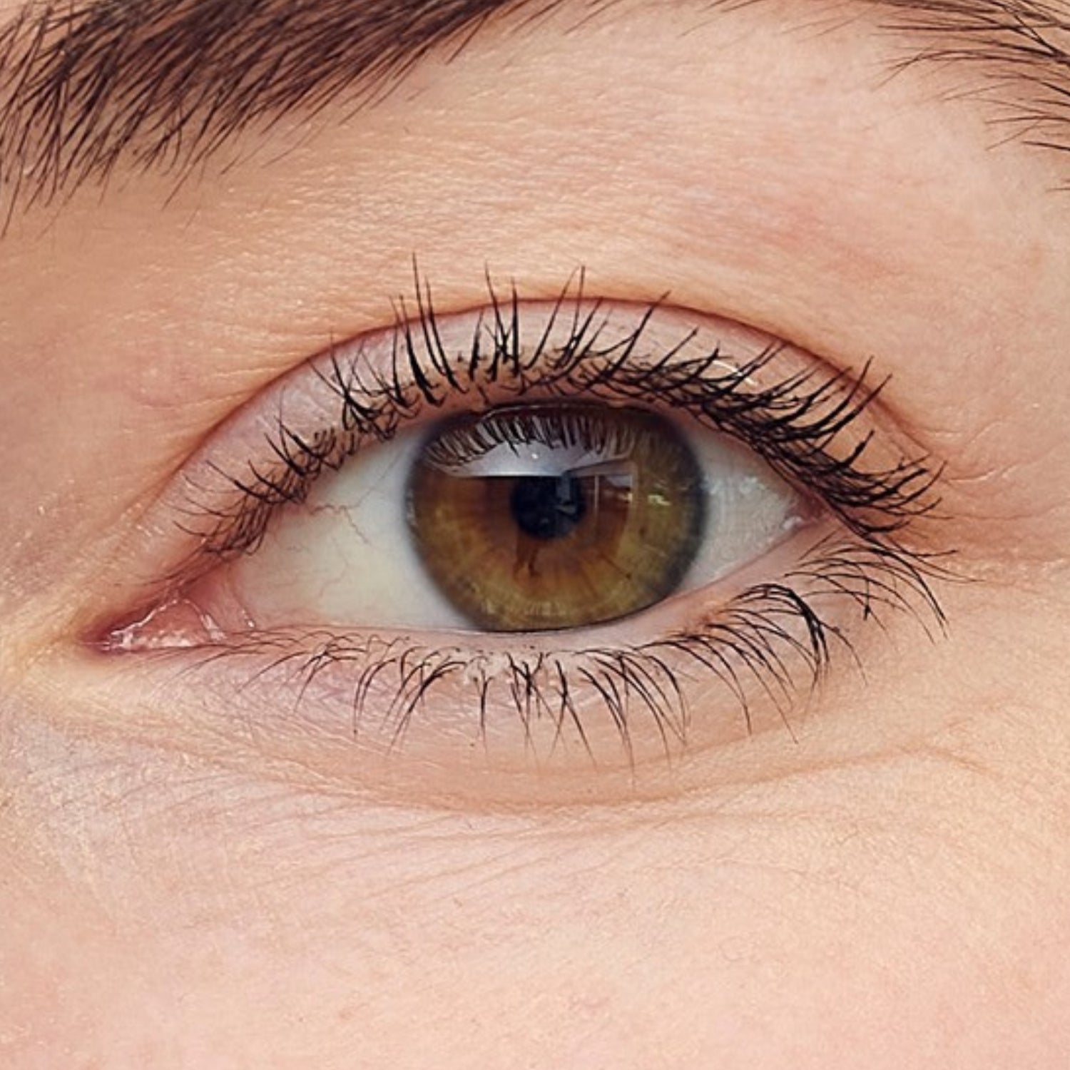 Frauenauge geöffnet