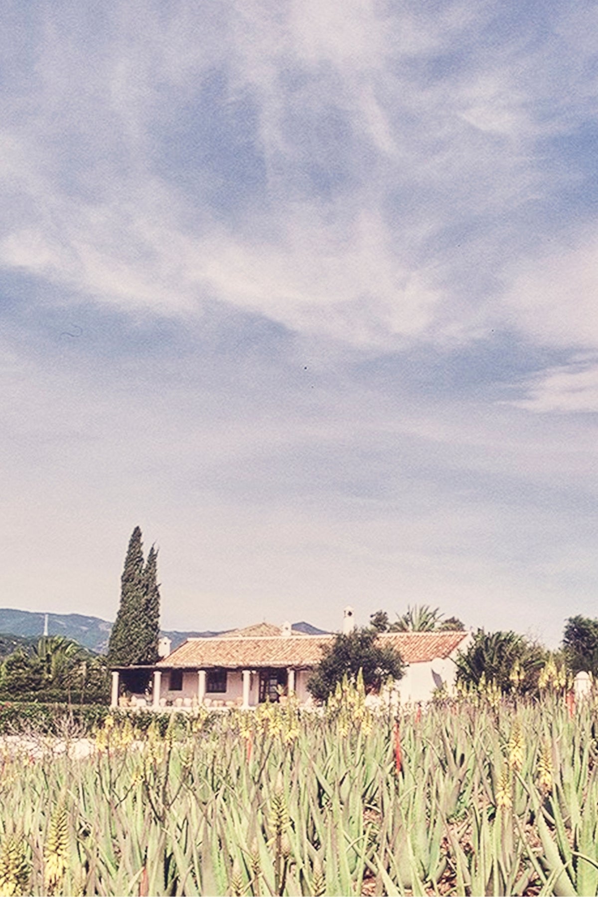 Santaverde Finca auf Aloe Vera Plantage – traditionelles Farmhaus in natürlicher Umgebung mit Aloe-Pflanzen und blauem Himmel