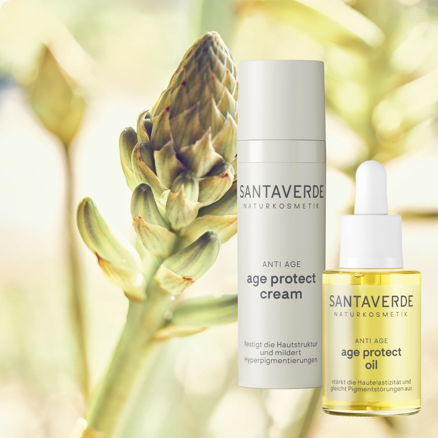 Santaverde age protect cream und age protect oil pflegen und schützen die Hautbarriere