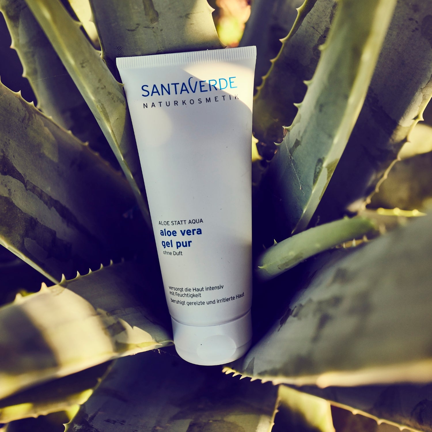 Santaverde Aloe Vera Gel beruhigende Hautpflege mit Aloe Vera Pflanze