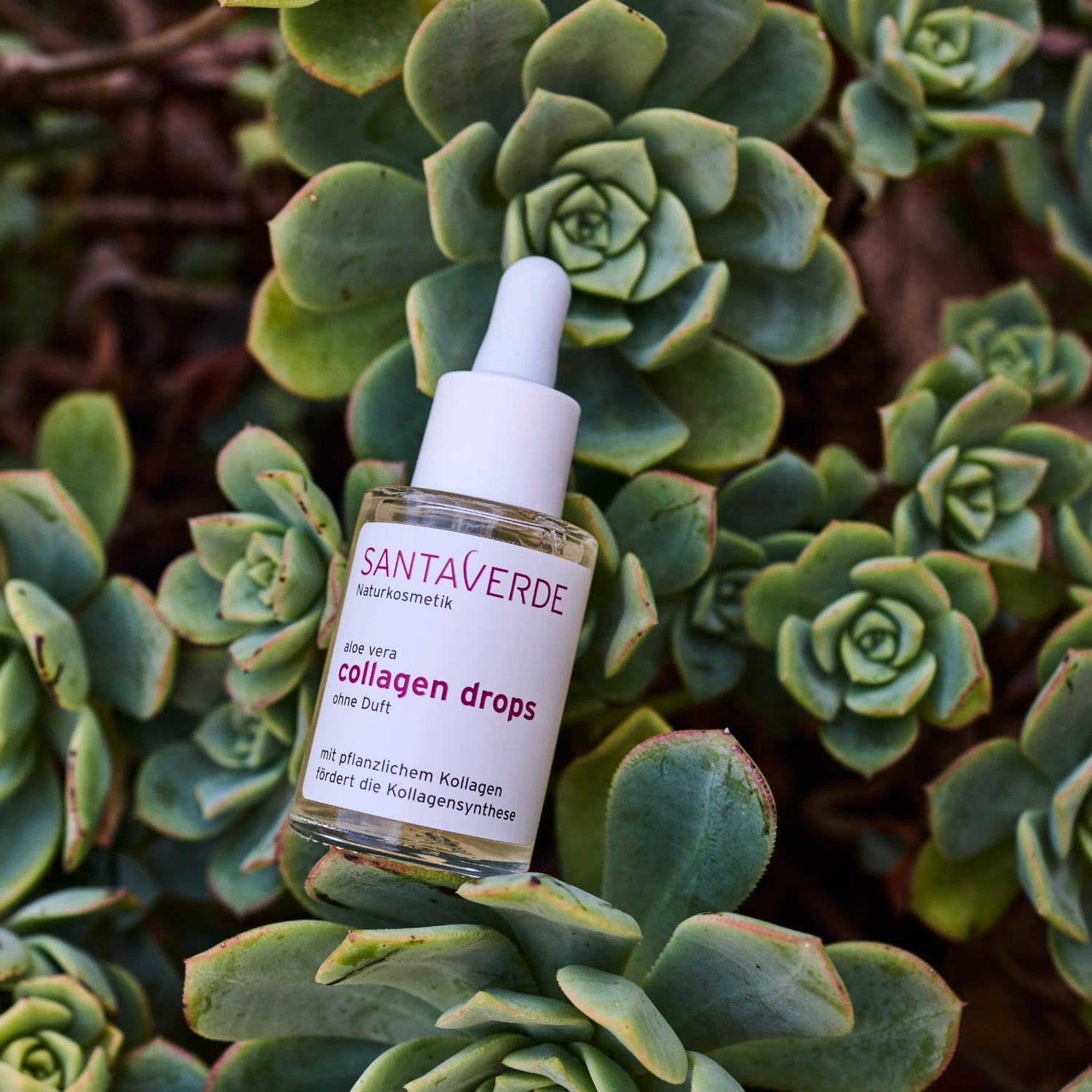 Fläschchen mit Collagen Drops – natürliche Anti-Aging Pflege für strahlende Haut von Santaverde